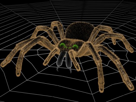 spider3b.jpg (2786 bytes)